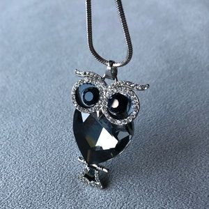 Owl Pendant with Long Chain